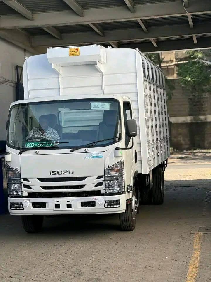 NQR81K Isuzu for Sale